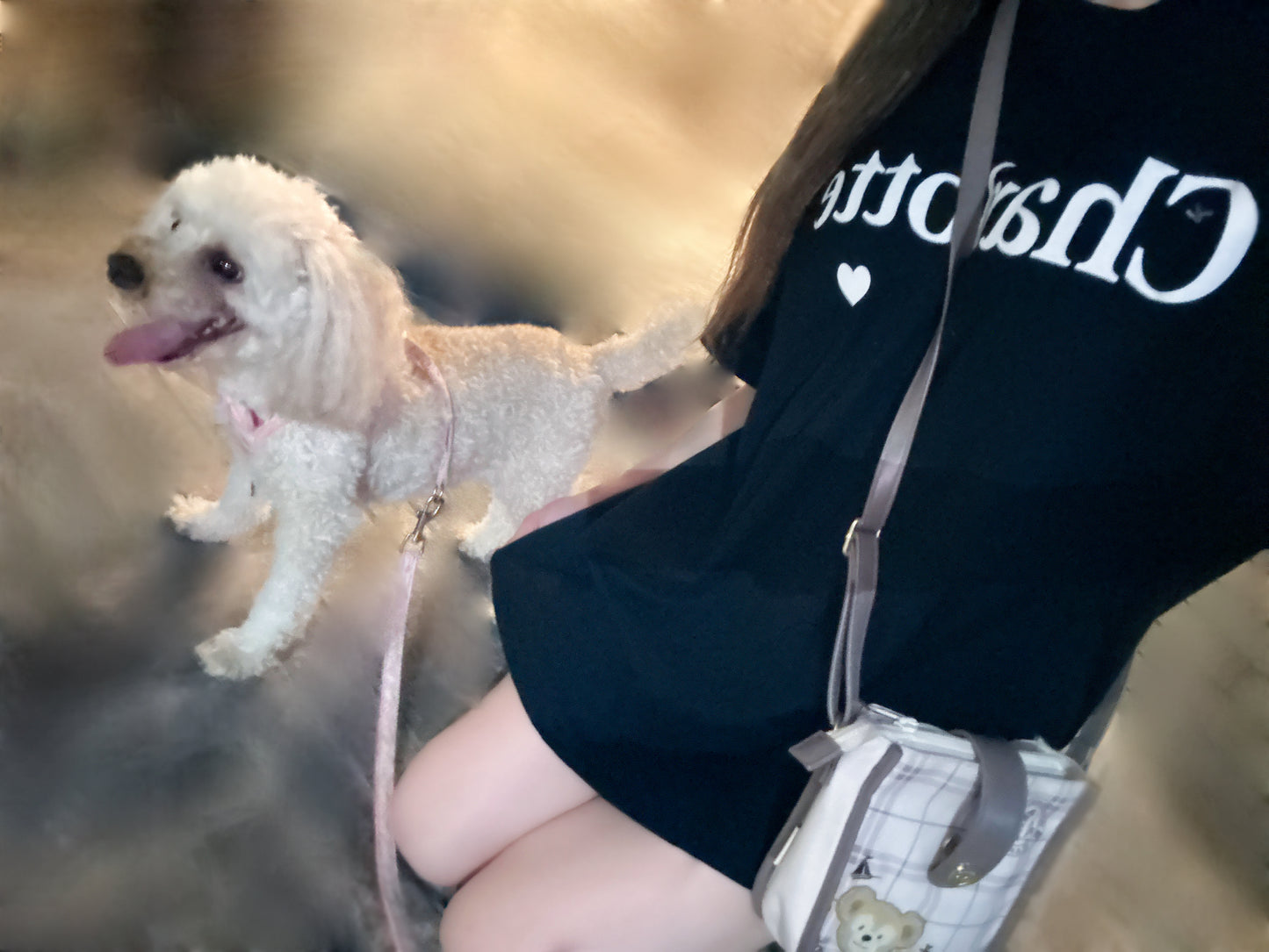 CharlotteロゴTシャツ