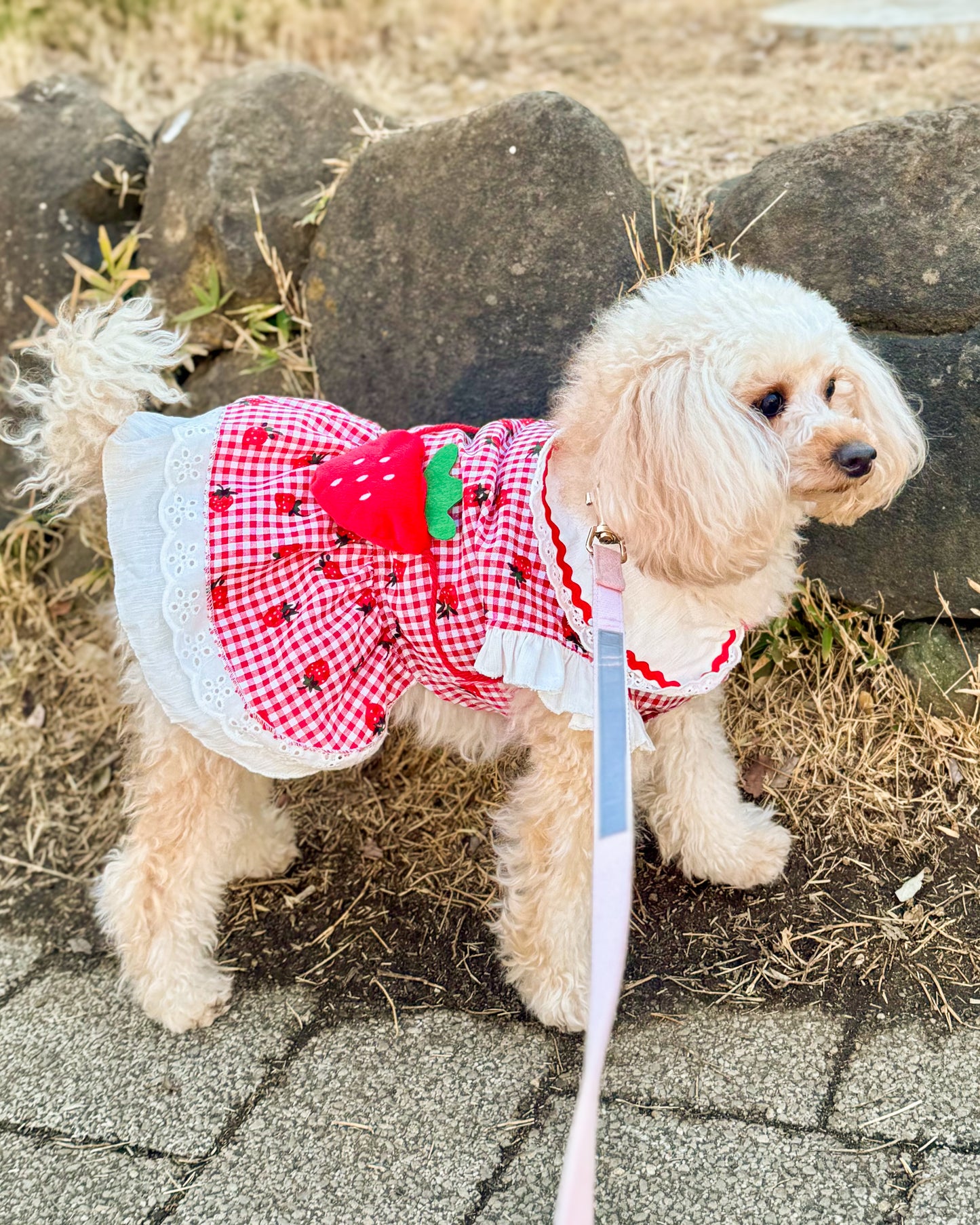Coco いちごワンピース(red)