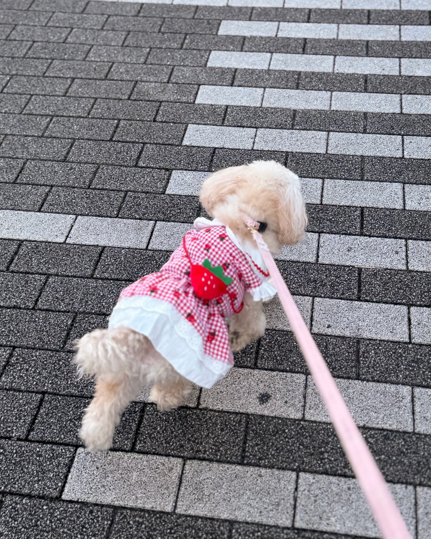 Coco いちごワンピース（red）