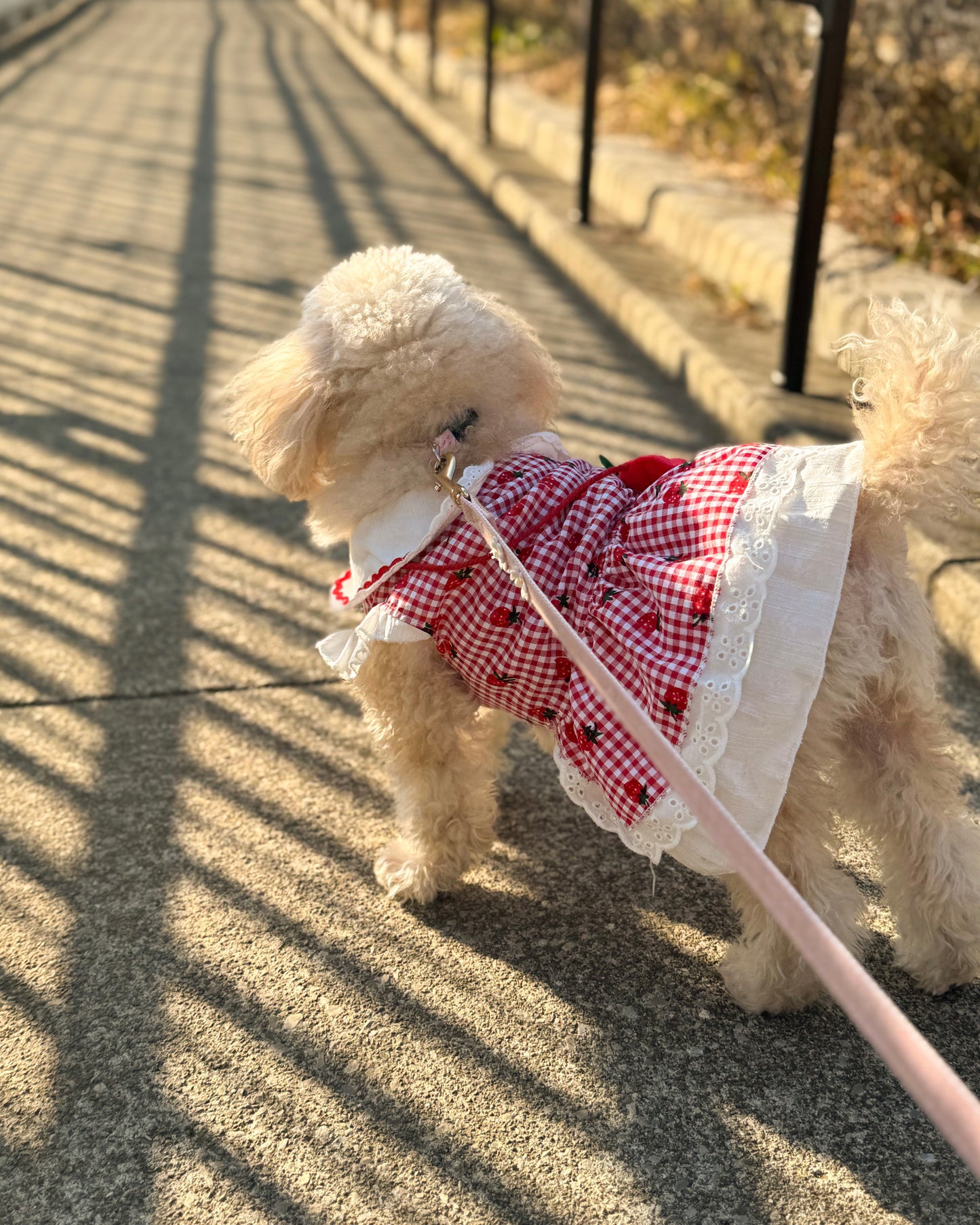 Coco いちごワンピース（red）