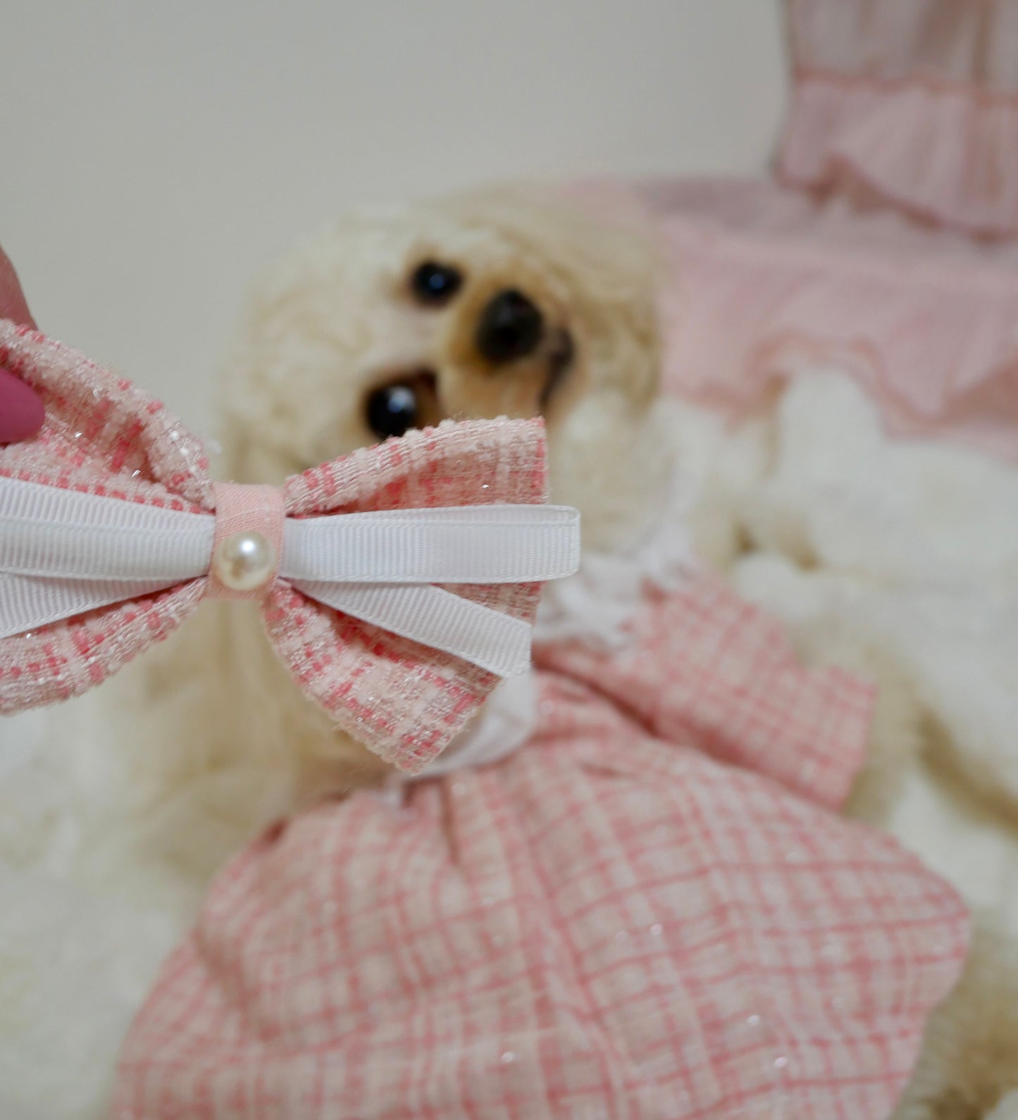 リボンSet♡レースツイードワンピース