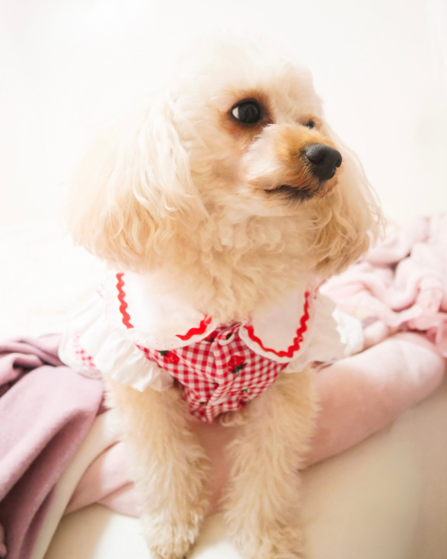 Coco いちごワンピース（red）