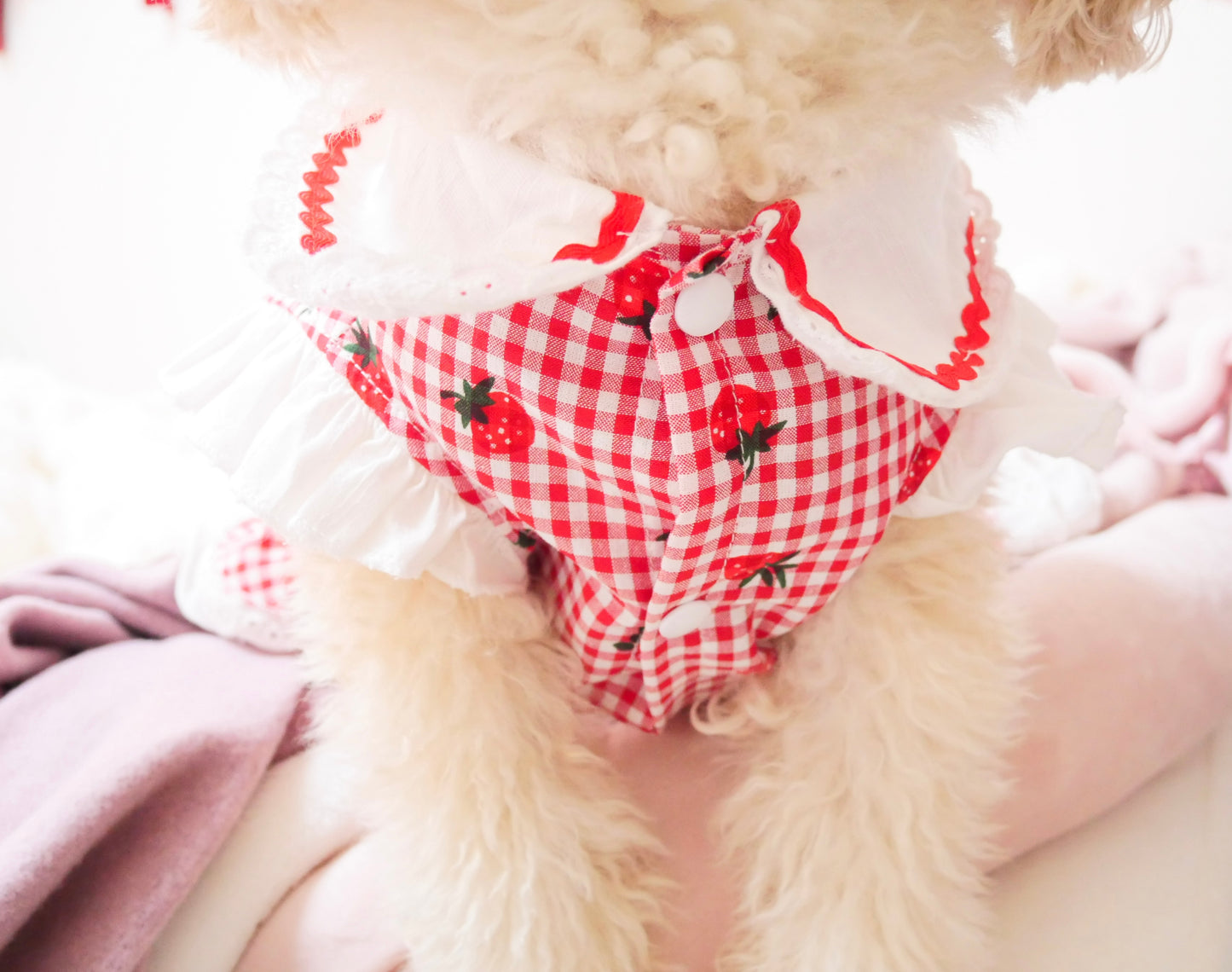 Coco いちごワンピース（red）