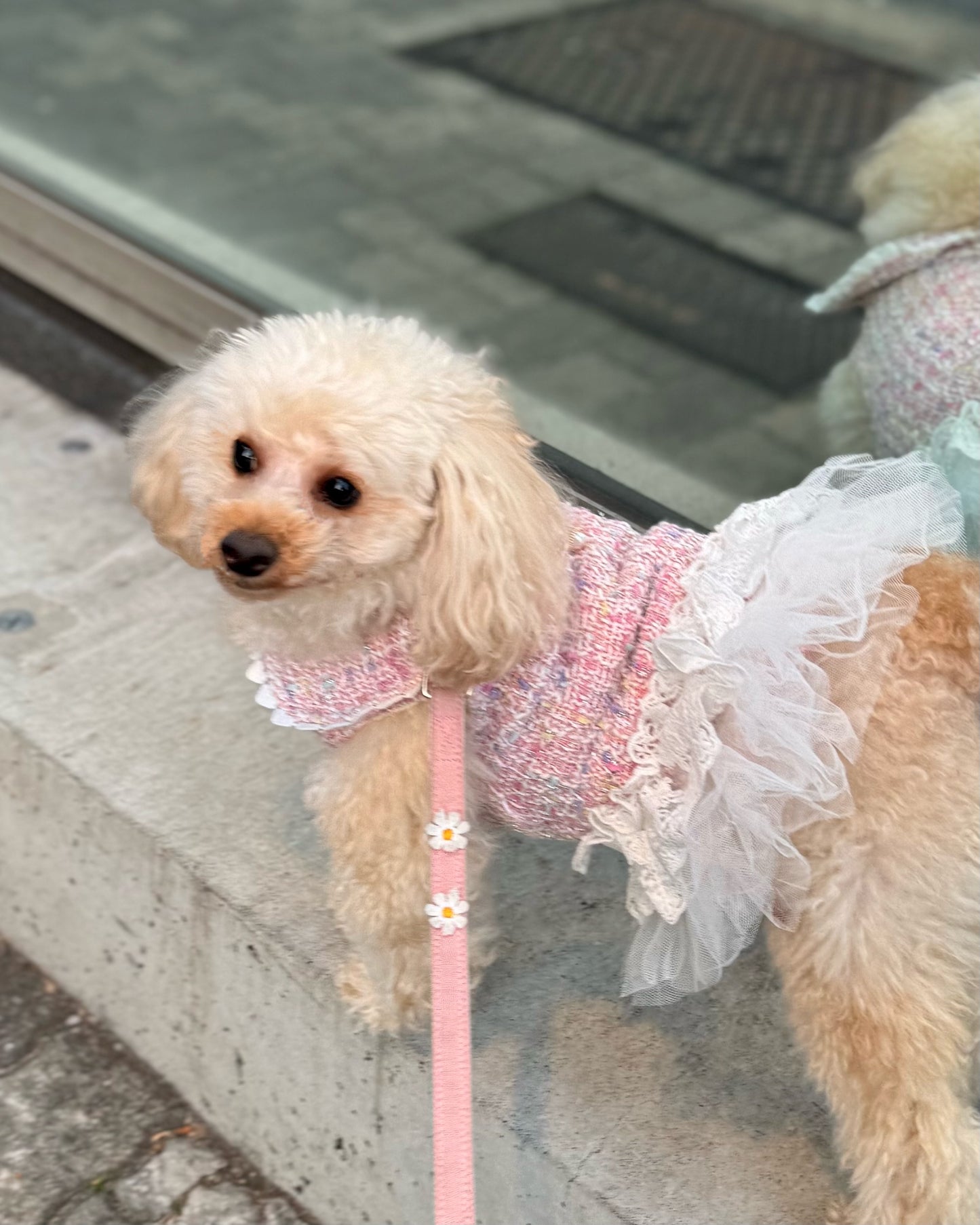 Princesseツイードチュールワンピース（ピンク）