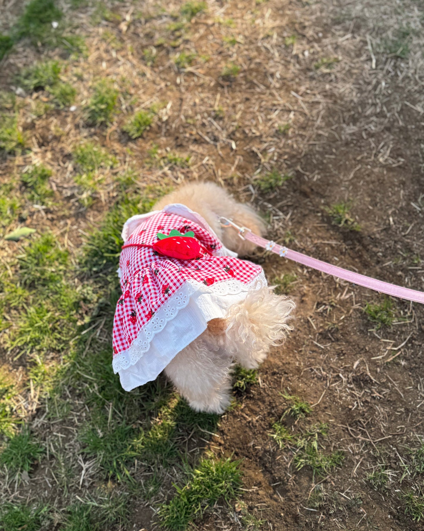 Coco いちごワンピース（red）