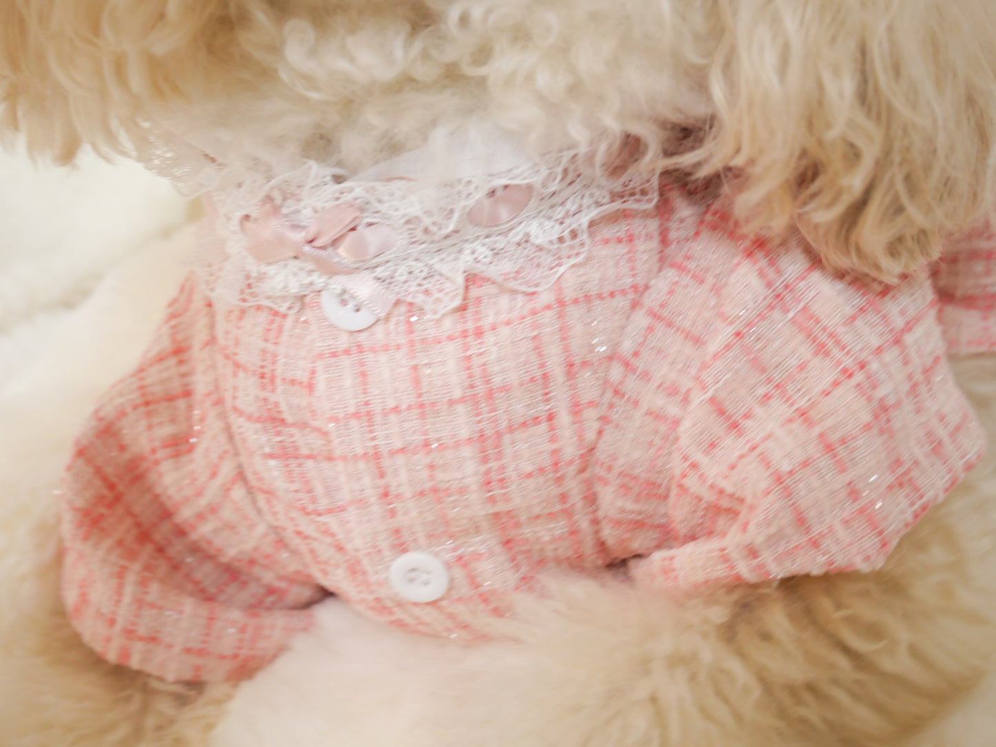 Rose rubanハーネス