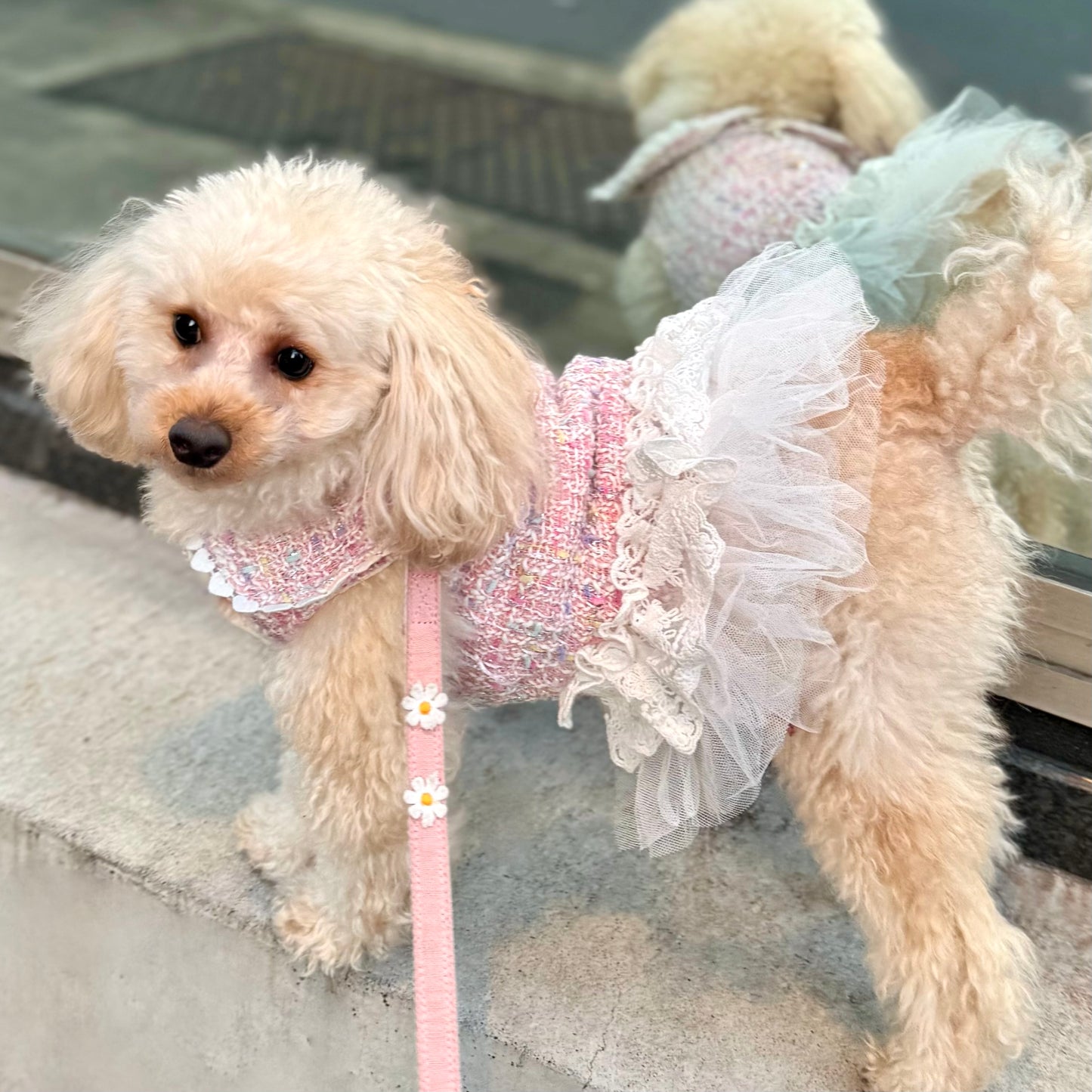 Princesseツイードチュールワンピース（ピンク）