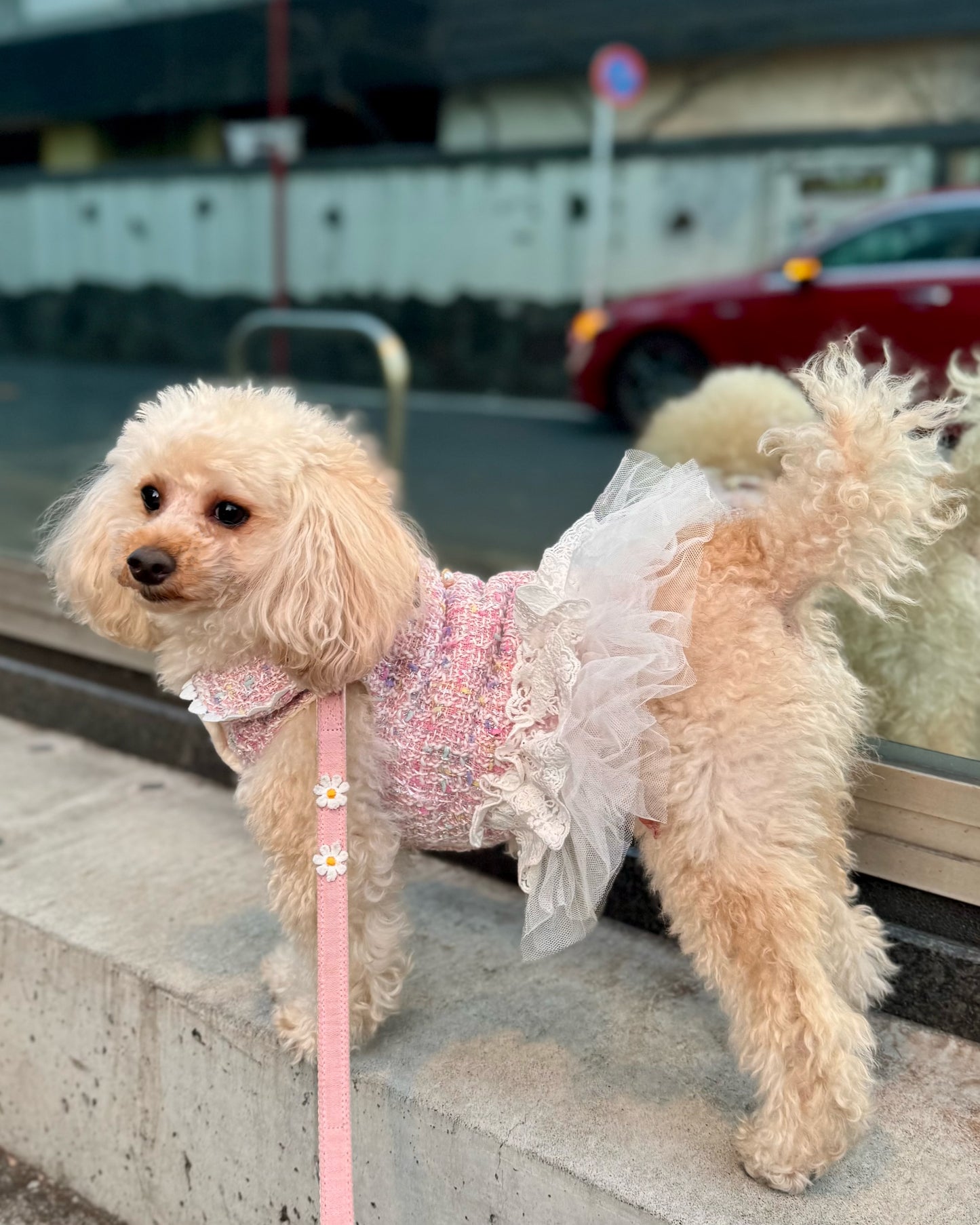 Princesseツイードチュールワンピース（ピンク）