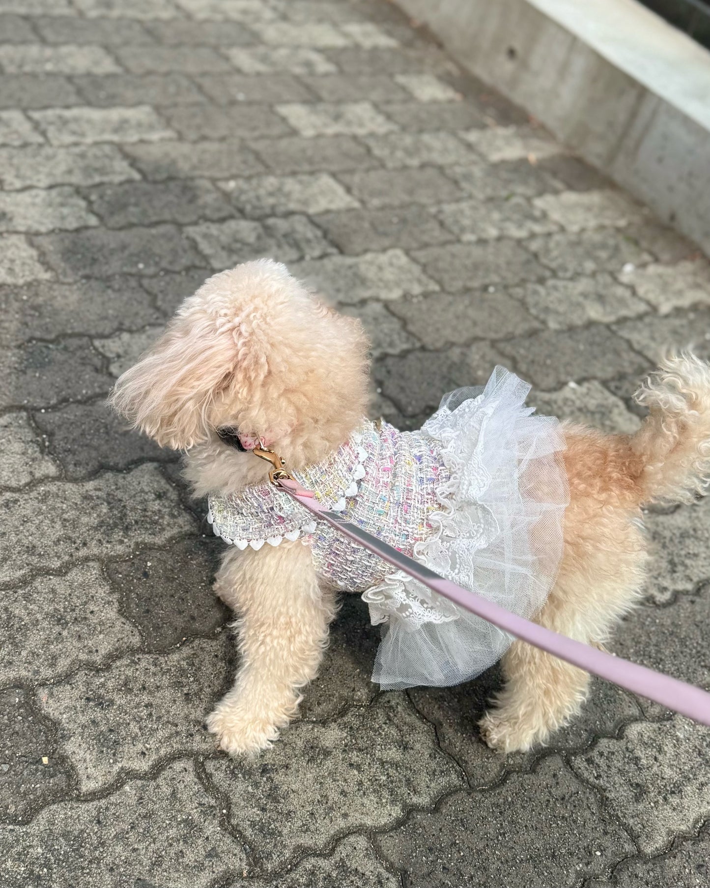 【12%OFF】Princesseツイードチュールワンピース（ミックス）