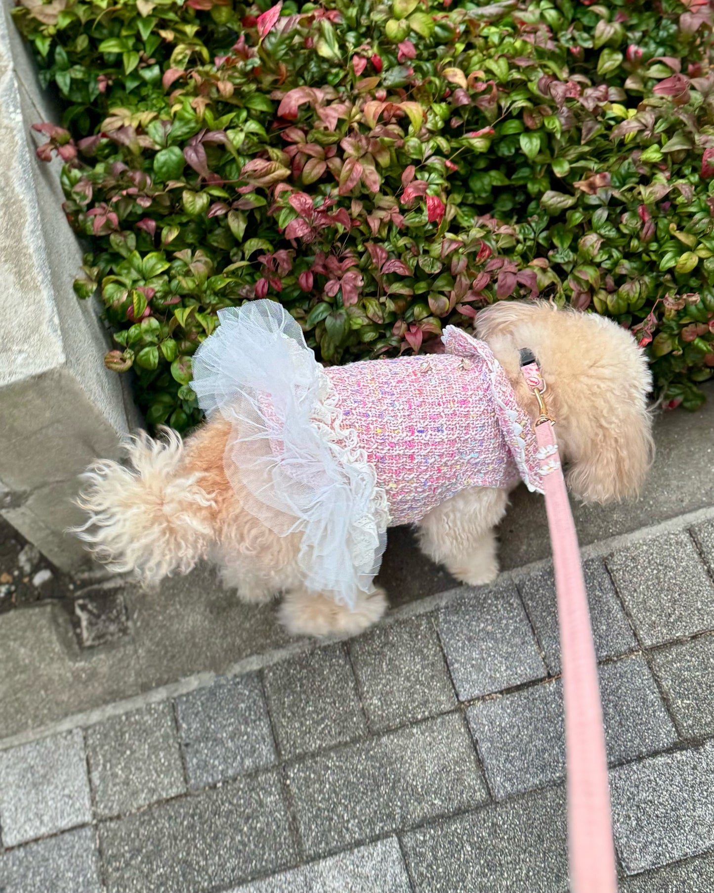 Princesseツイードチュールワンピース（ピンク）