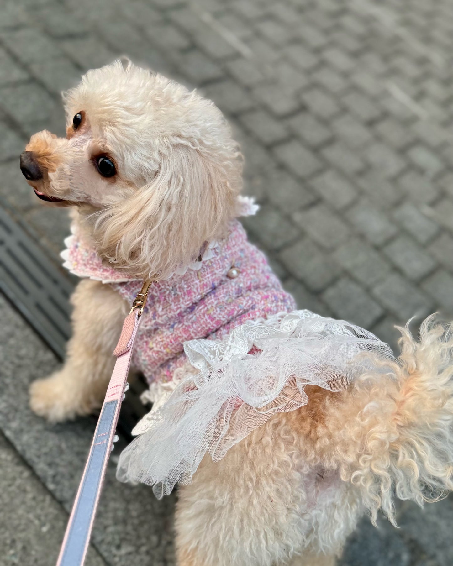 Princesseツイードチュールワンピース（ピンク）