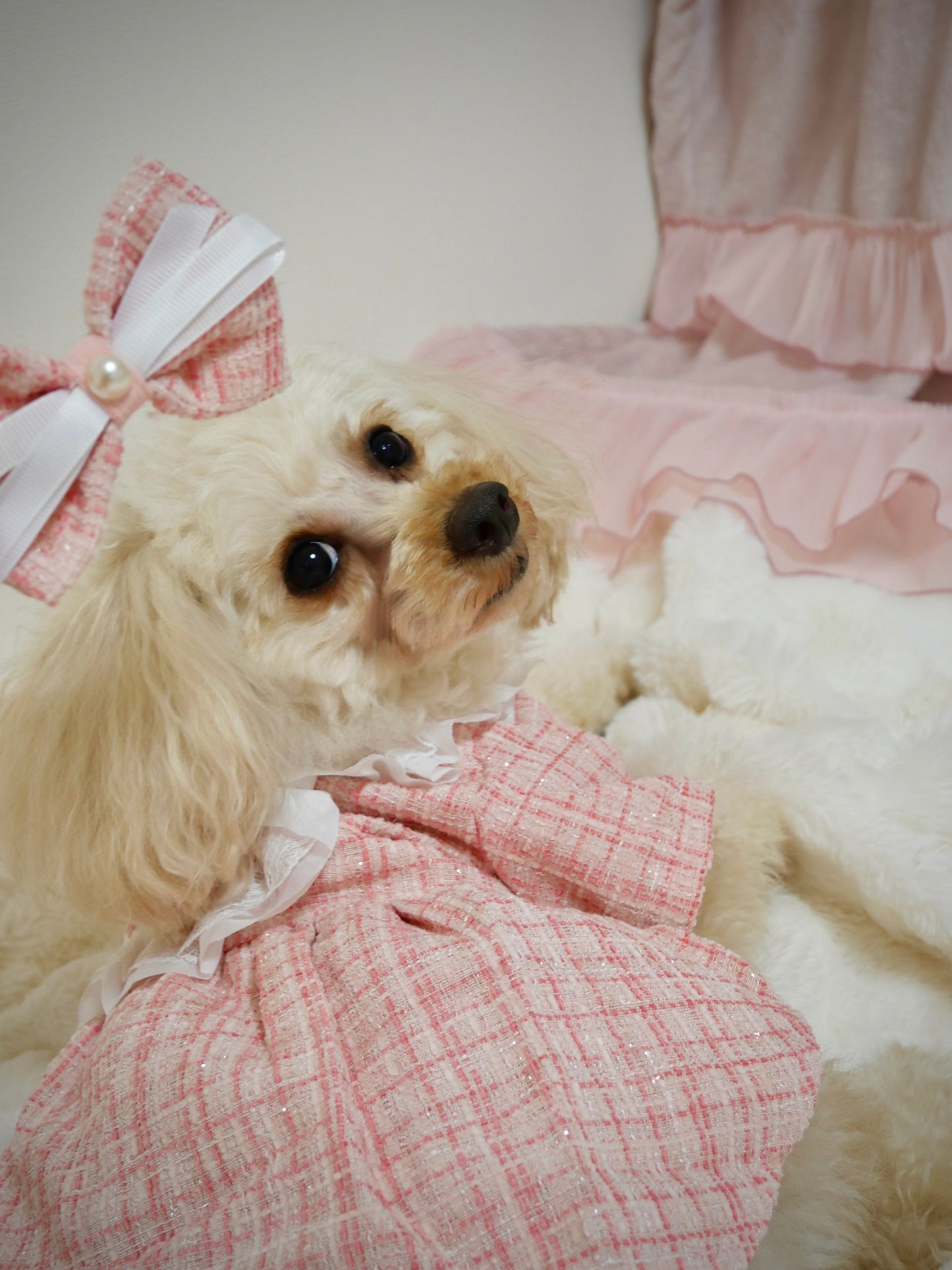 リボンSet♡レースツイードワンピース