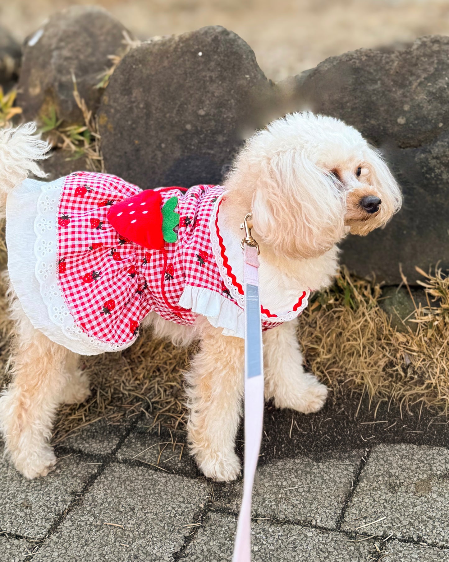 Coco いちごワンピース（red）