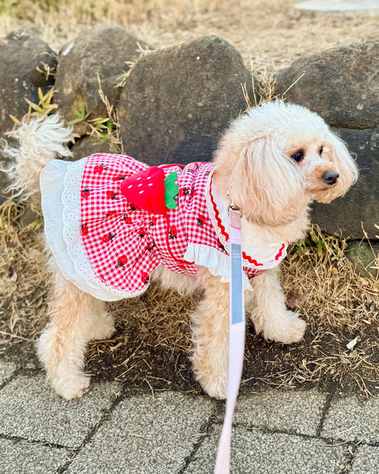 Coco いちごワンピース（red）