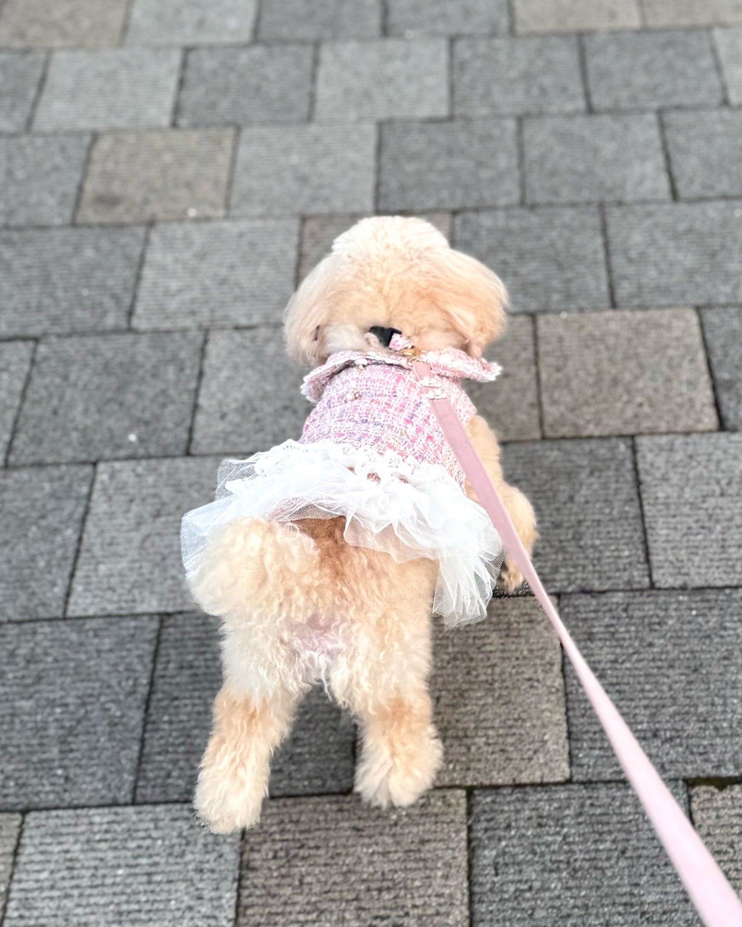 Princesseツイードチュールワンピース（ピンク）