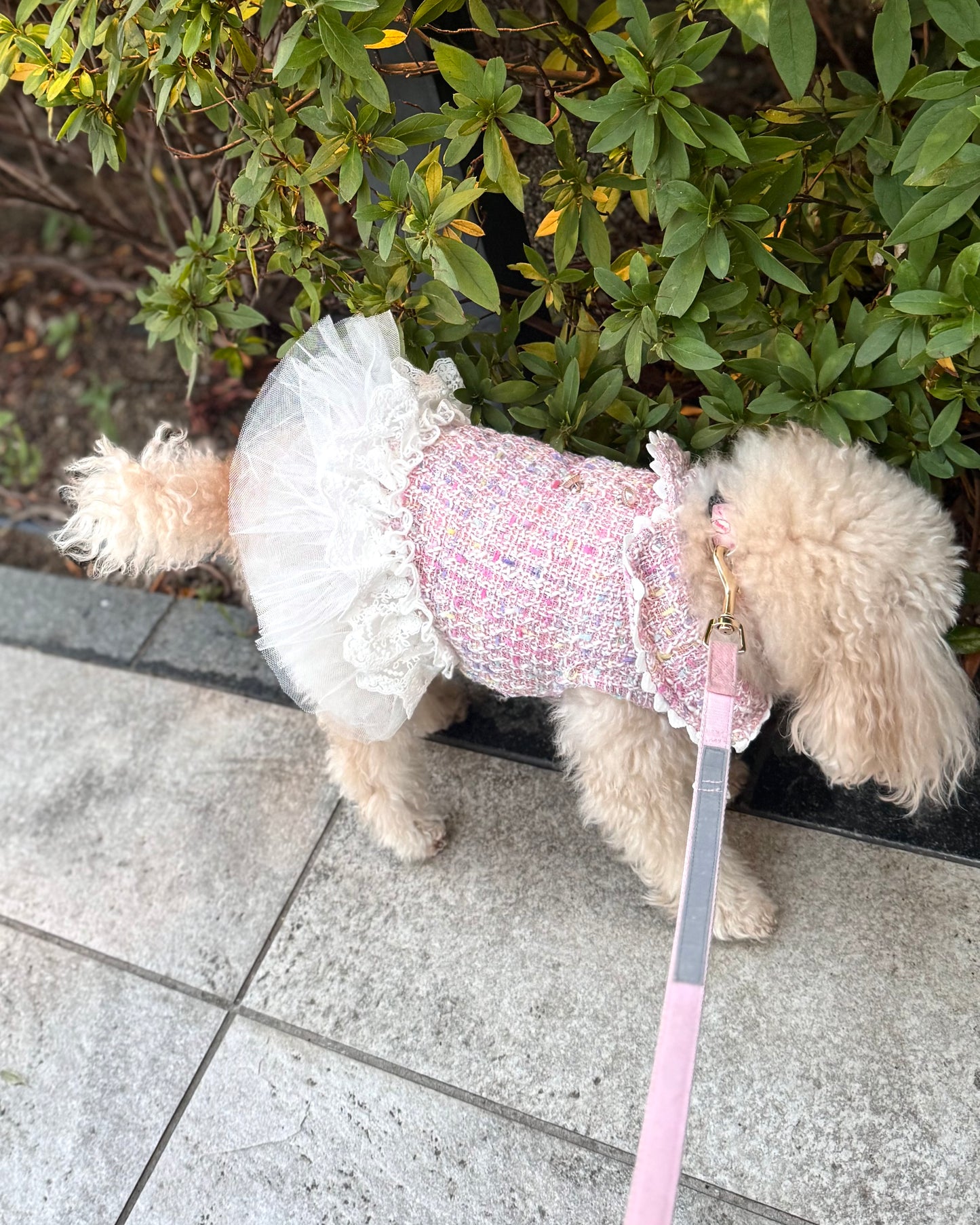 Princesseツイードチュールワンピース（ピンク）