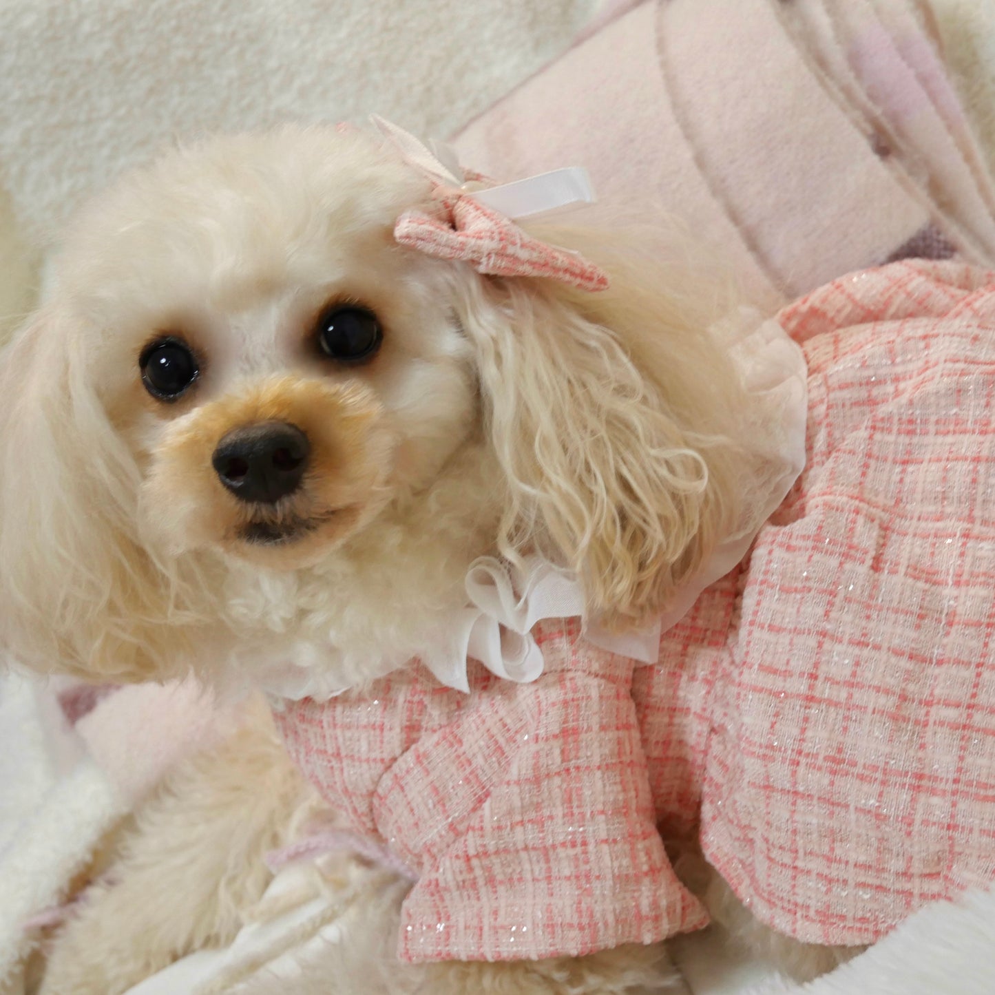 リボンSet♡レースツイードワンピース