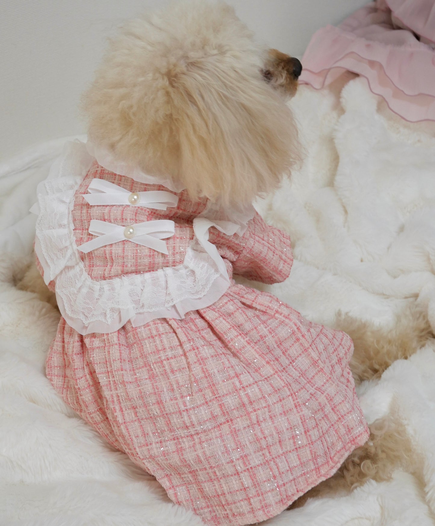 リボンSet♡レースツイードワンピース