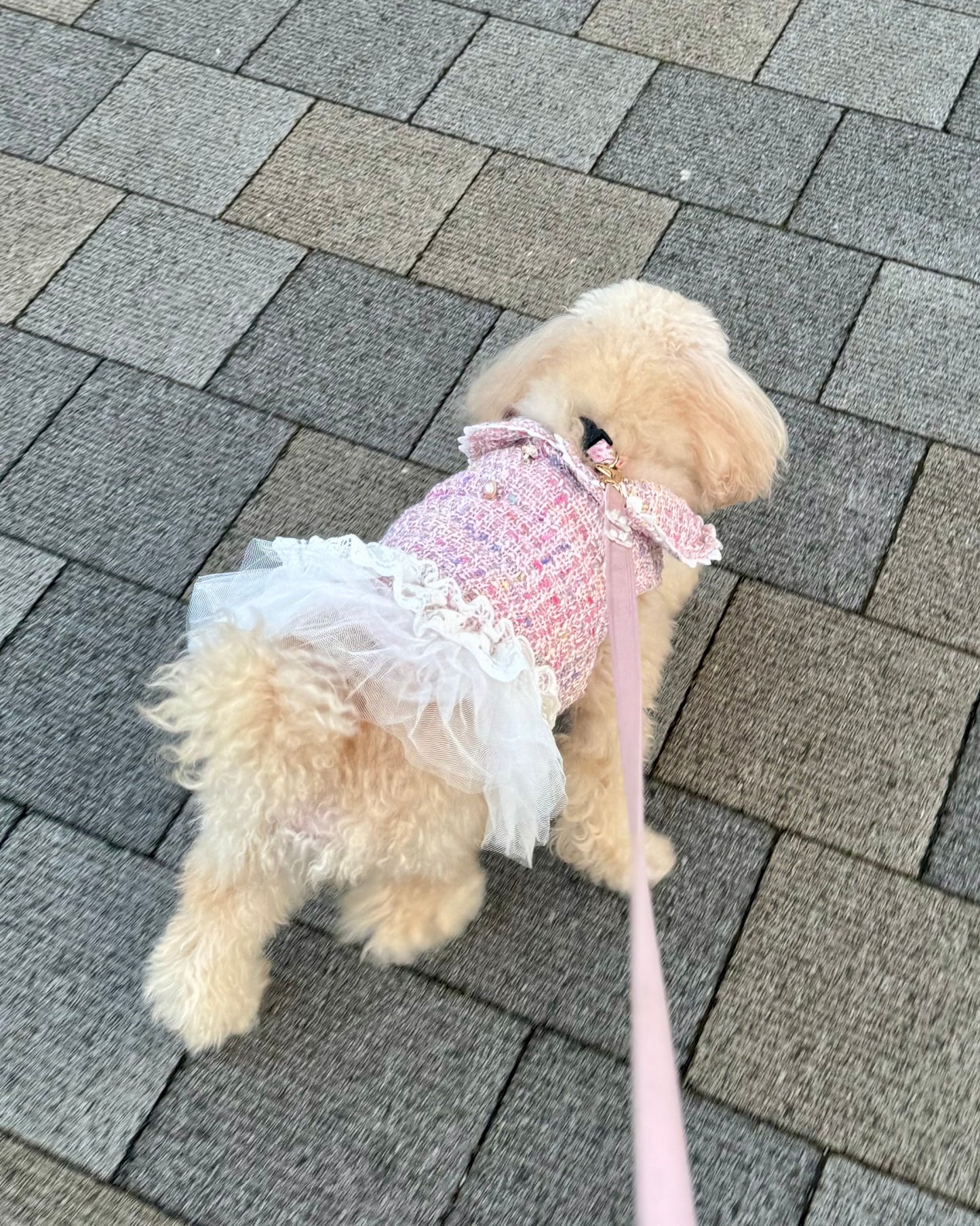 Princesseツイードチュールワンピース（ピンク）