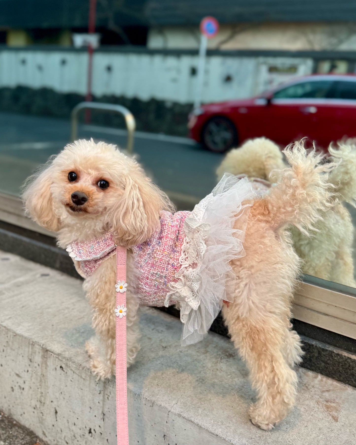 Princesseツイードチュールワンピース（ピンク）