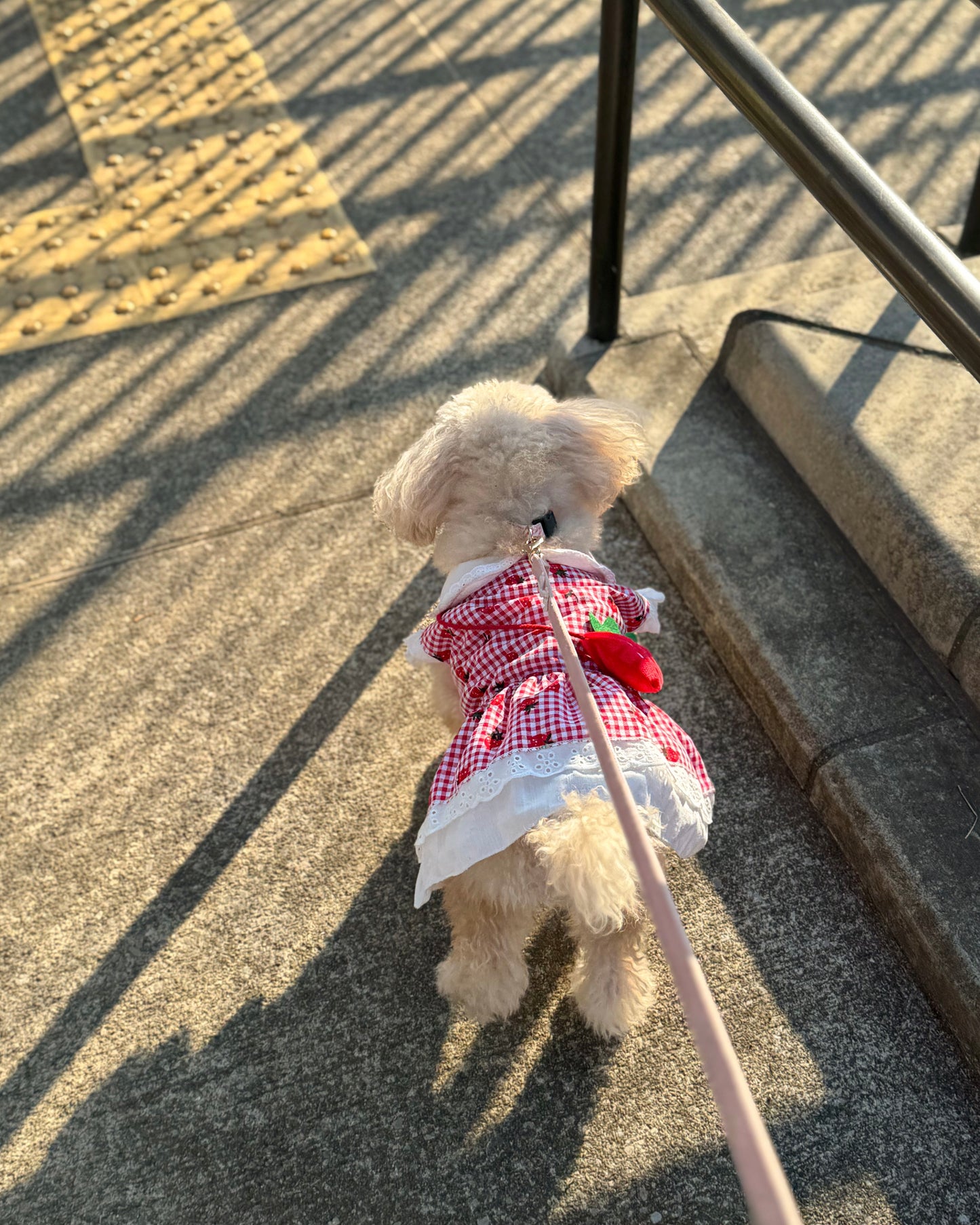 Coco いちごワンピース（red）