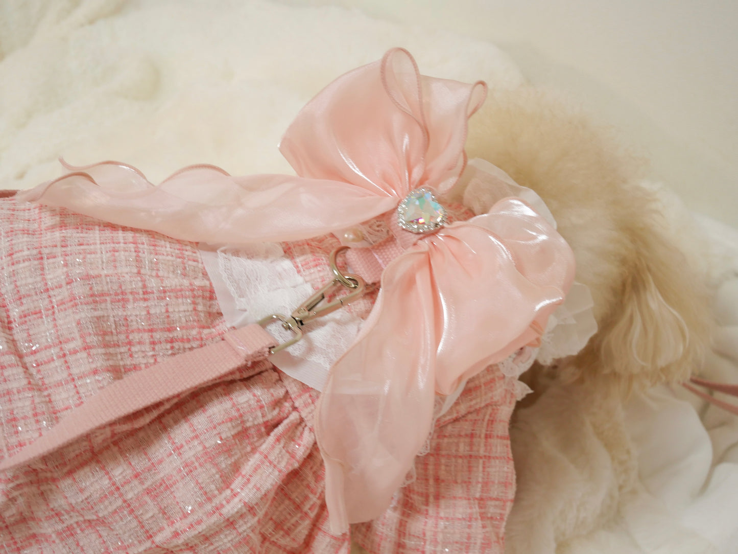 Rose rubanリード