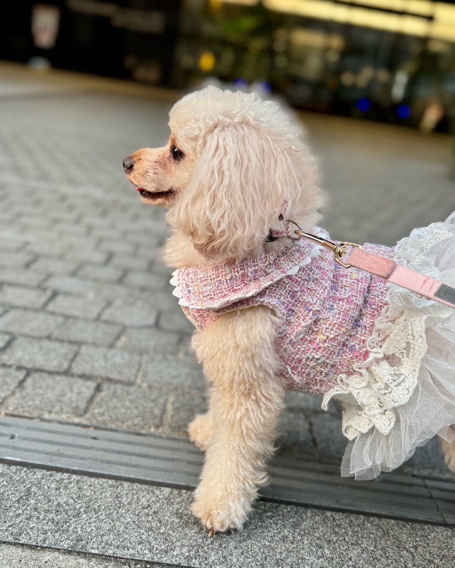 Princesseツイードチュールワンピース（ピンク）