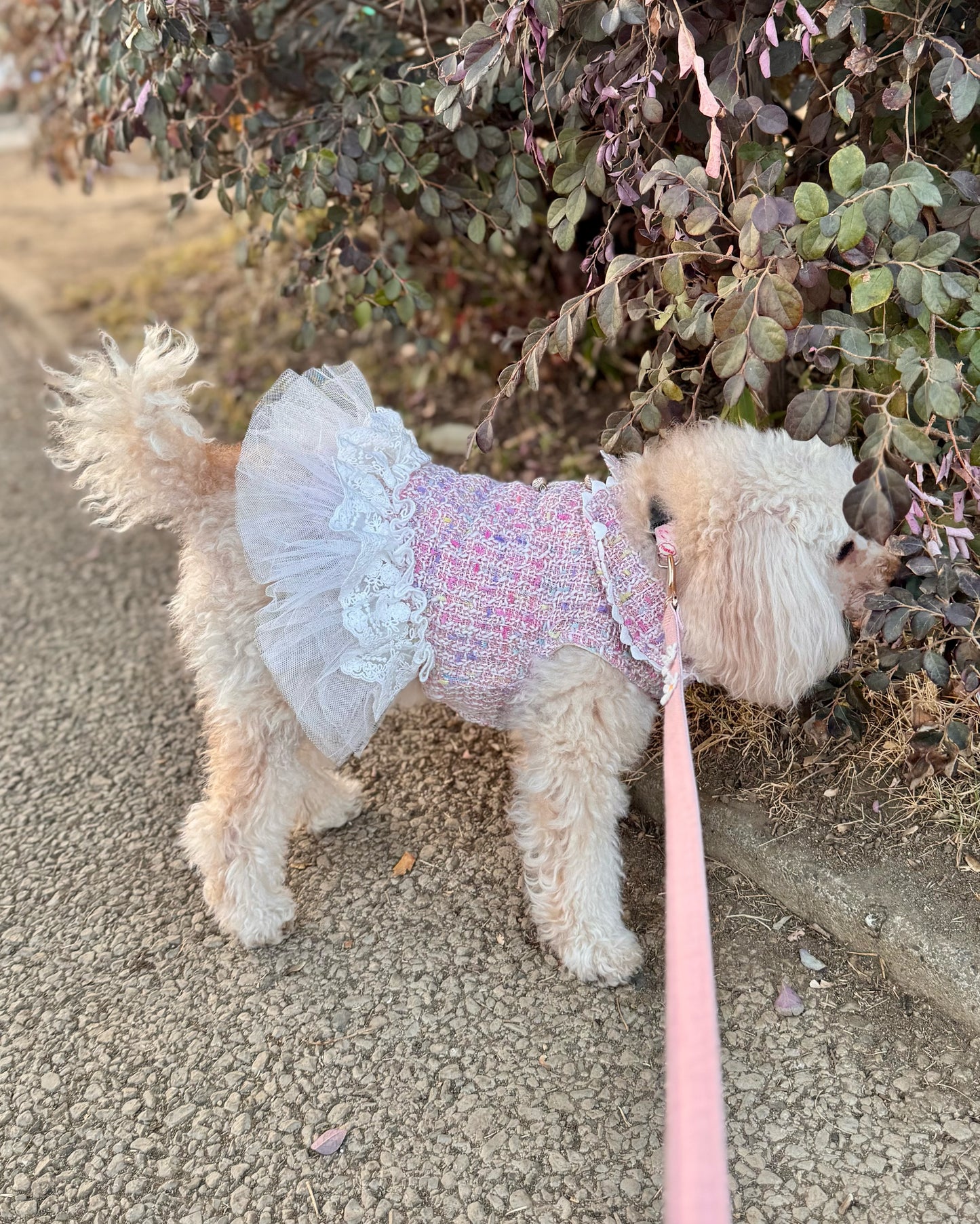 Princesseツイードチュールワンピース（ピンク）