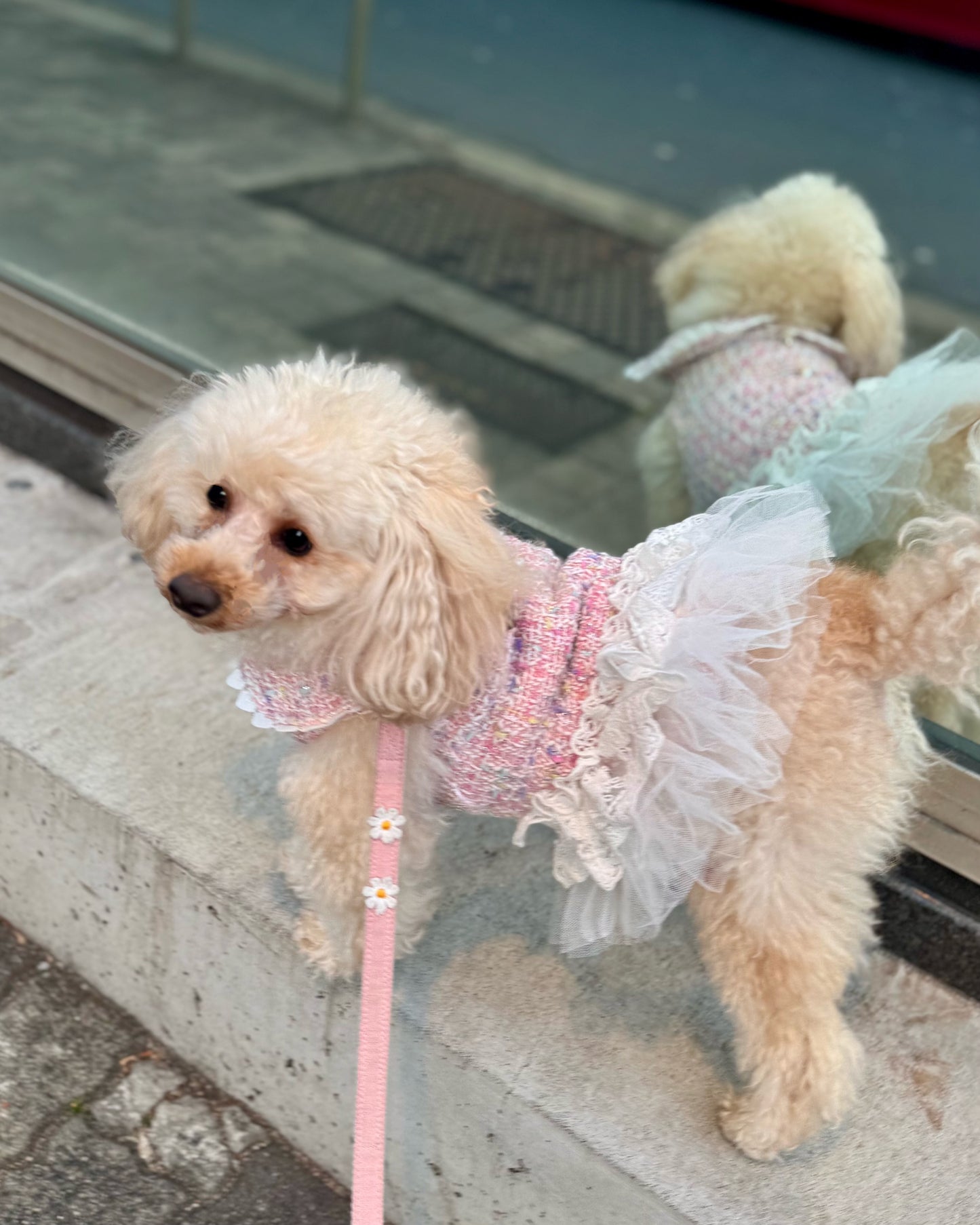 Princesseツイードチュールワンピース（ピンク）