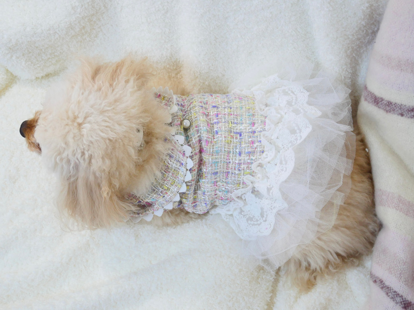 【12%OFF】Princesseツイードチュールワンピース（ミックス）