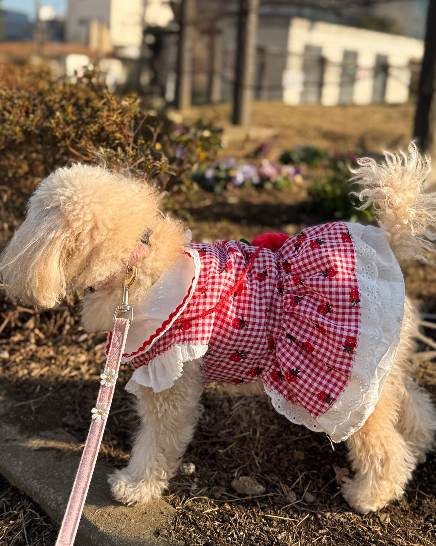 Coco いちごワンピース（red）