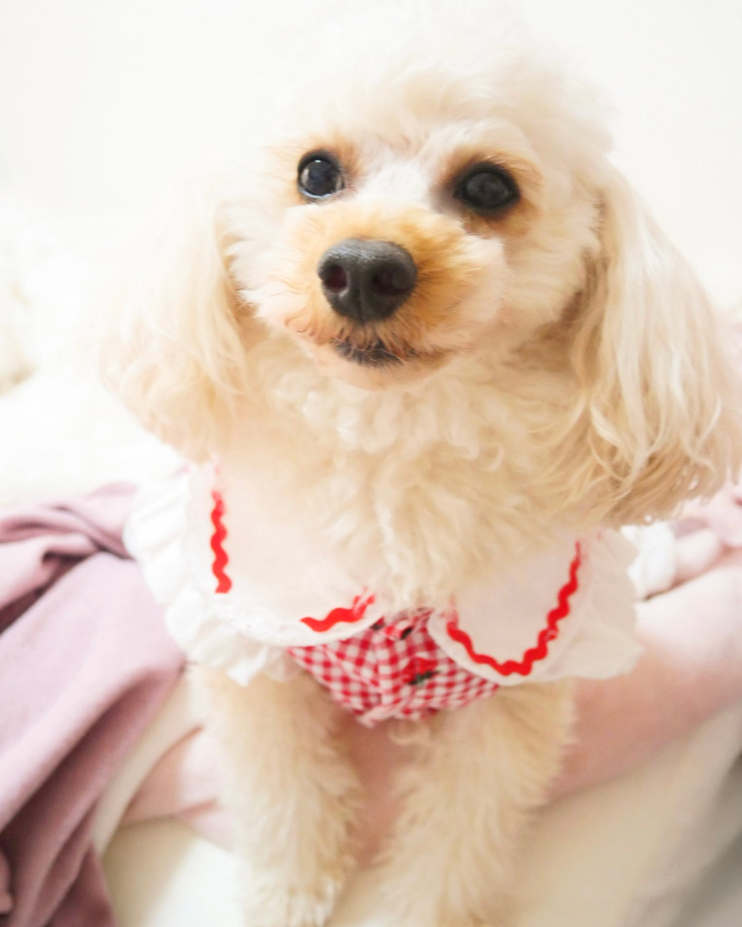 Coco いちごワンピース（red）