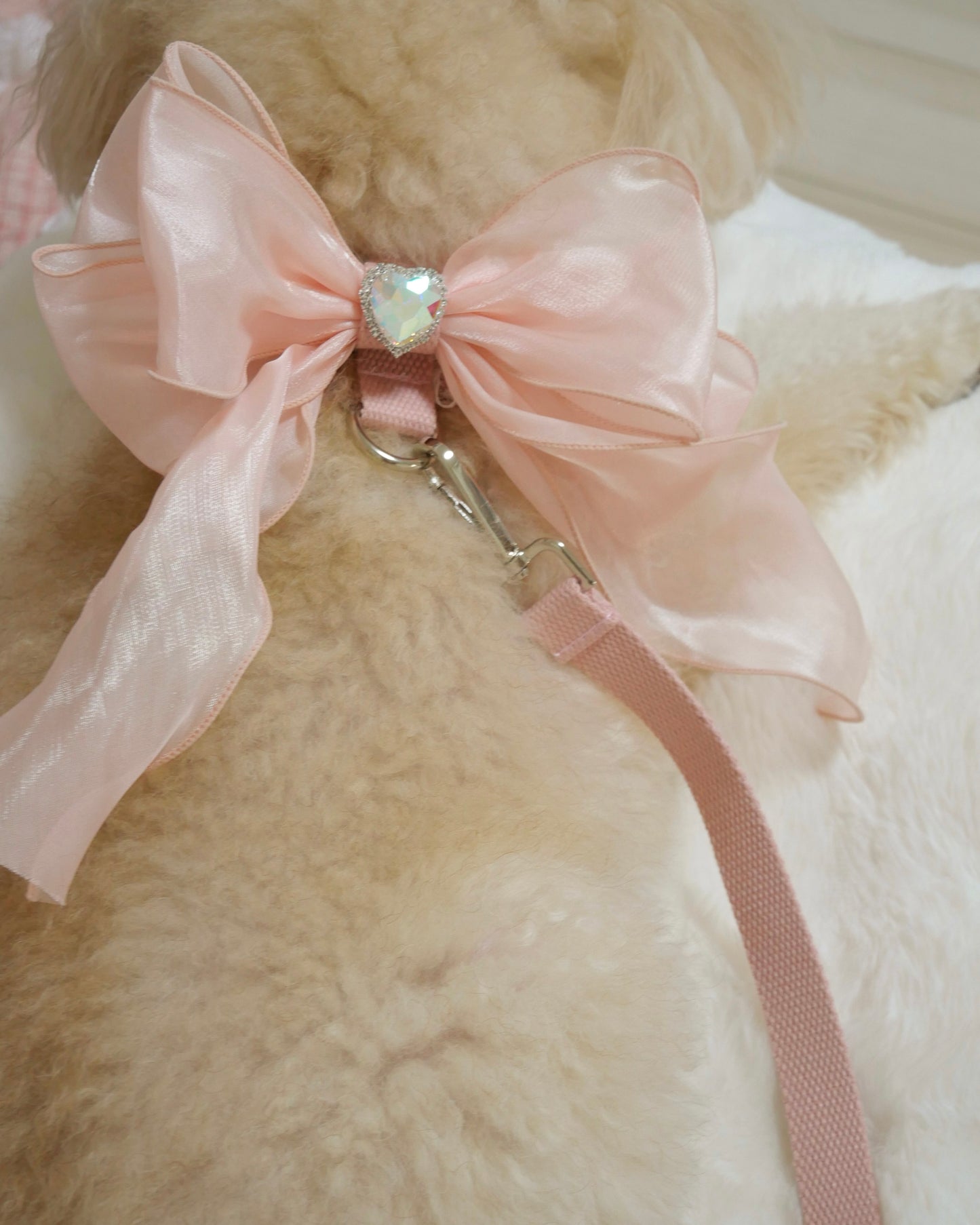 Rose rubanリード