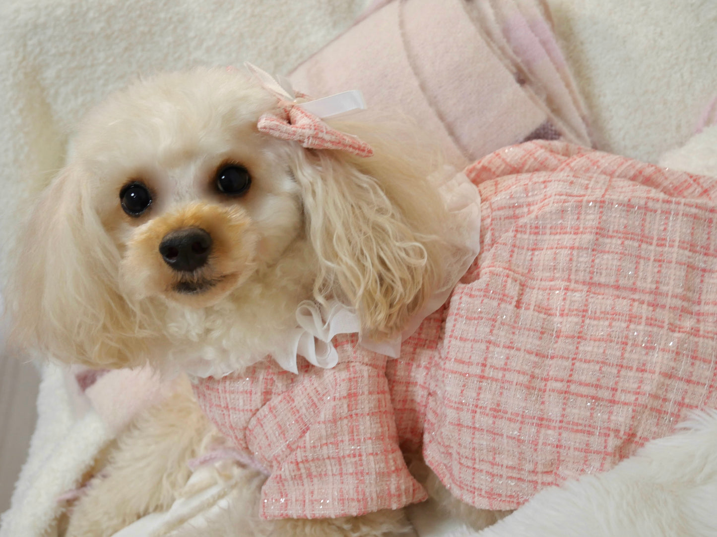 リボンSet♡レースツイードワンピース