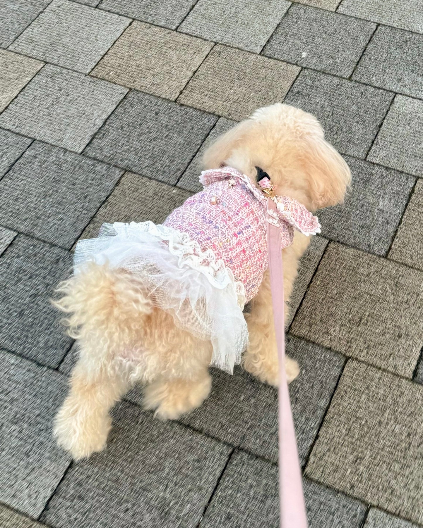 Princesseツイードワンピース