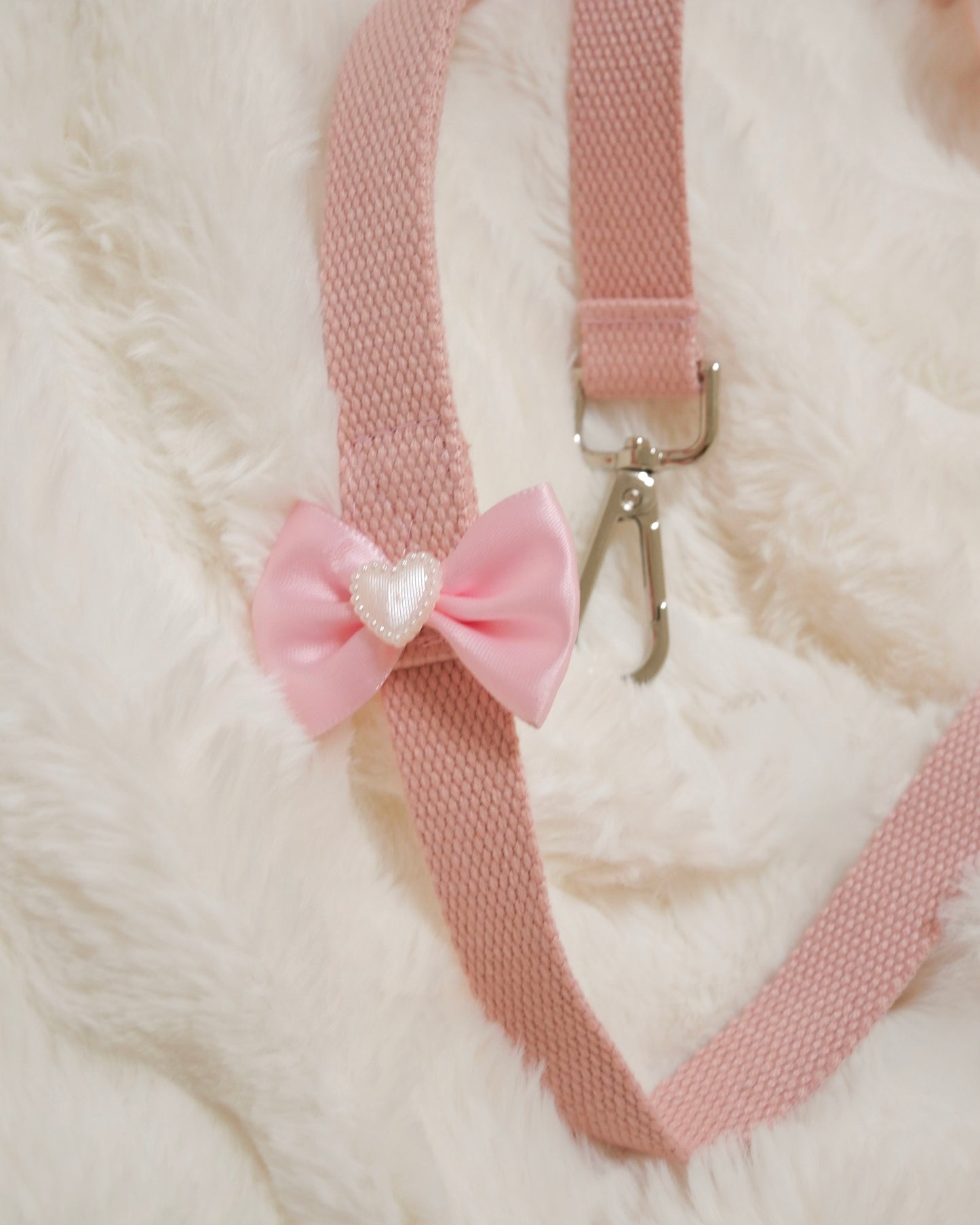 Rose rubanリード