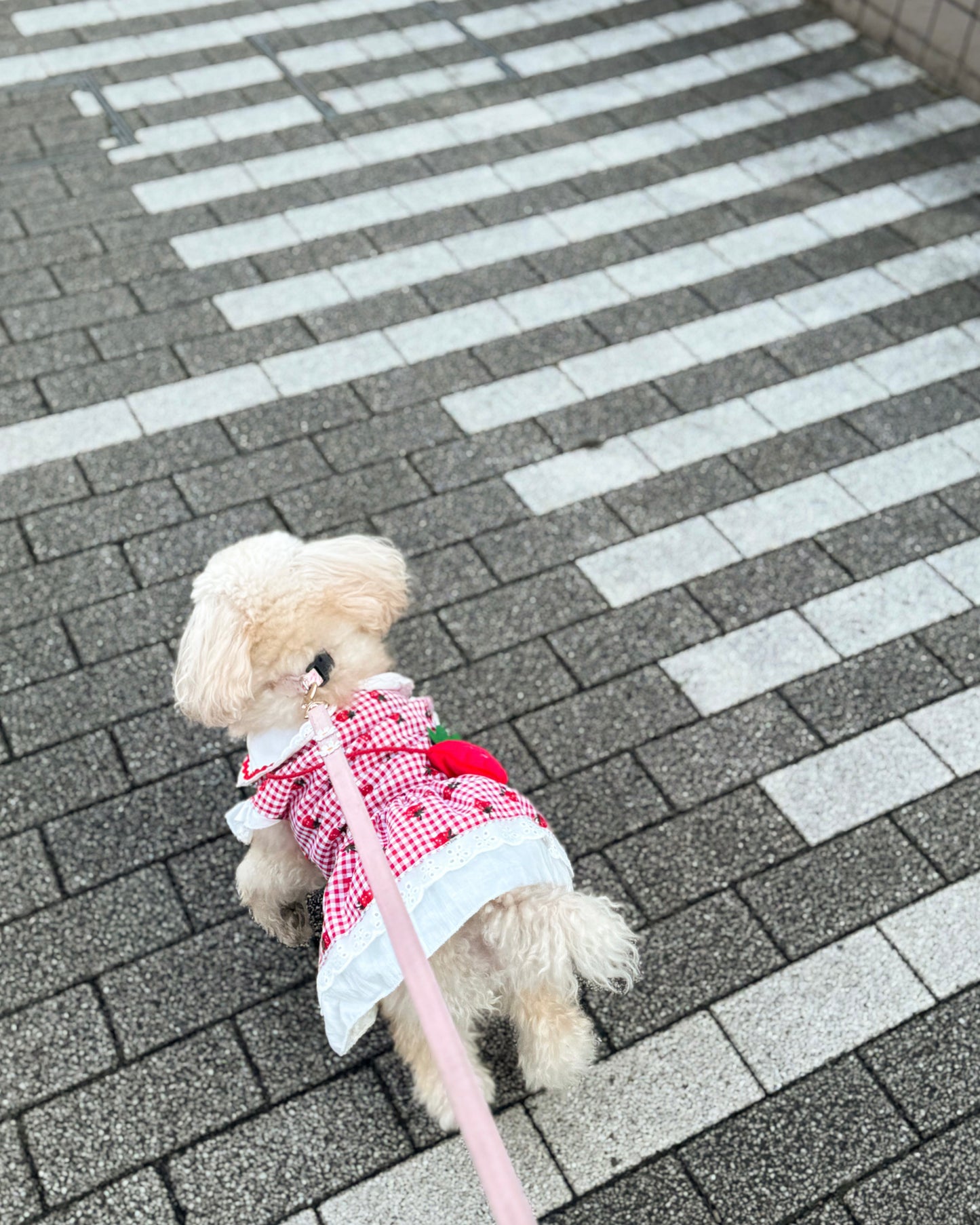 Coco いちごワンピース（red）