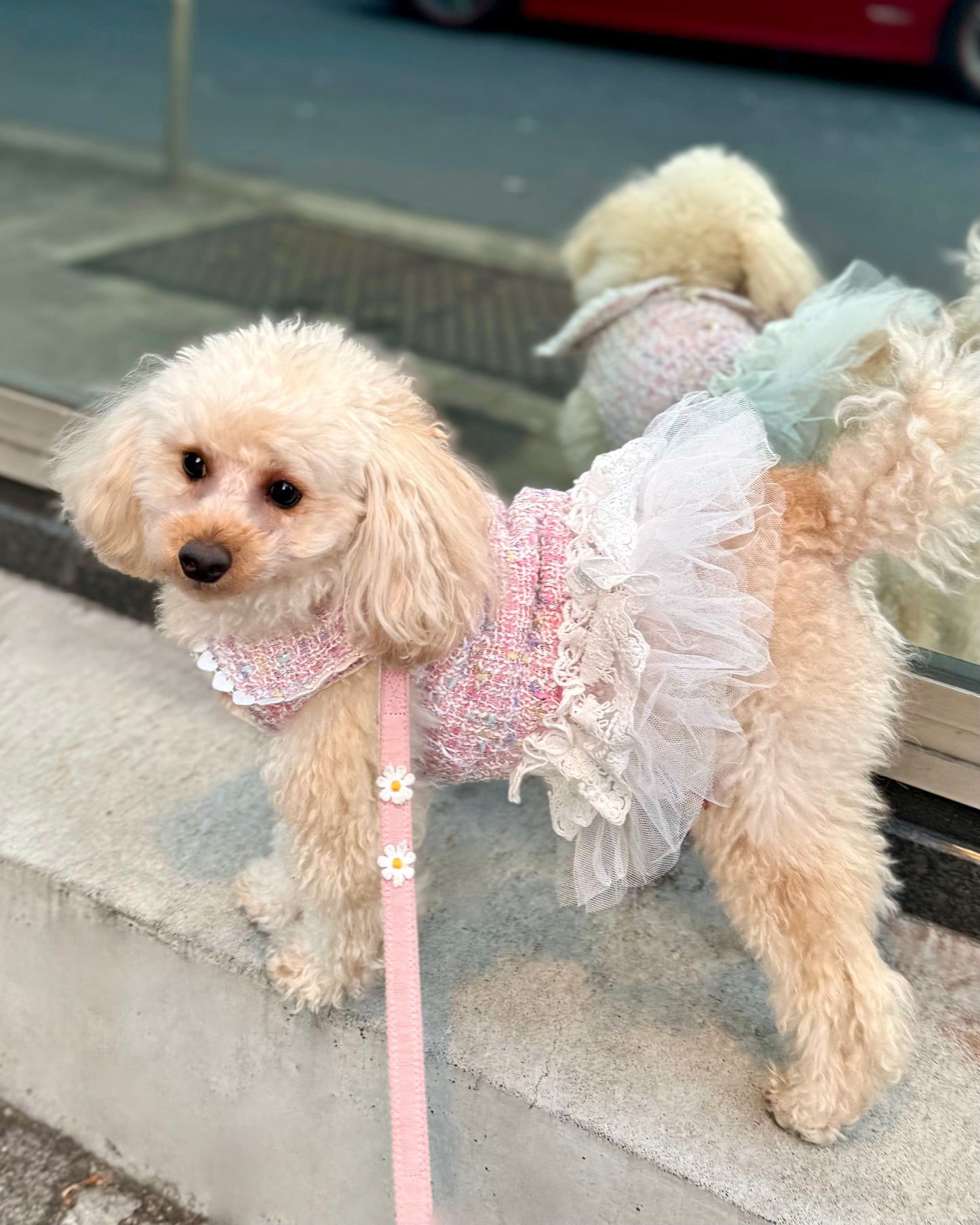 Princesseツイードチュールワンピース（ピンク）