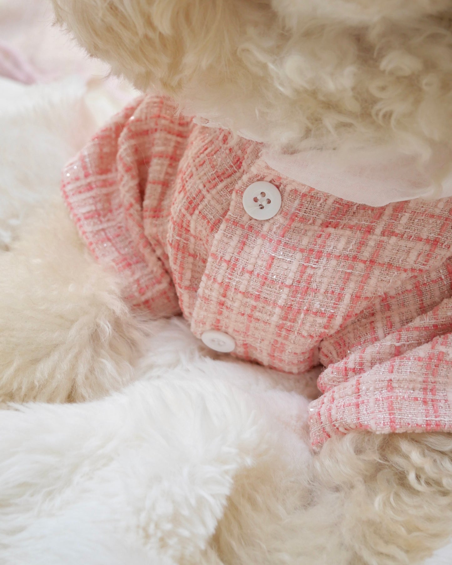 リボンSet♡レースツイードワンピース